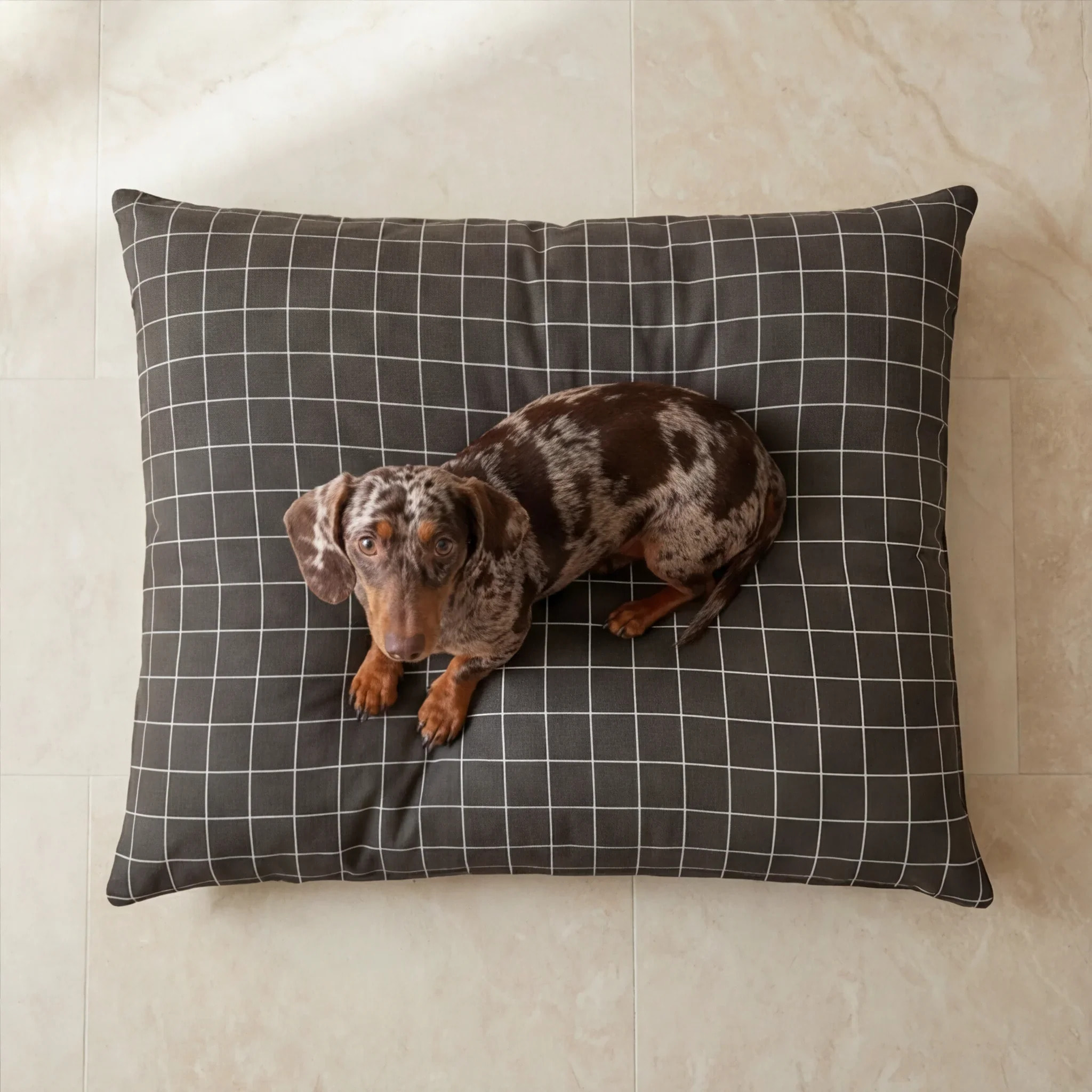 Lit pour animaux déhoussable et antitaches Pumba Marron