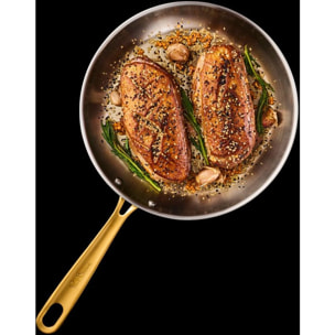 Poêle TEFAL 24cm inox Bocuse Edition