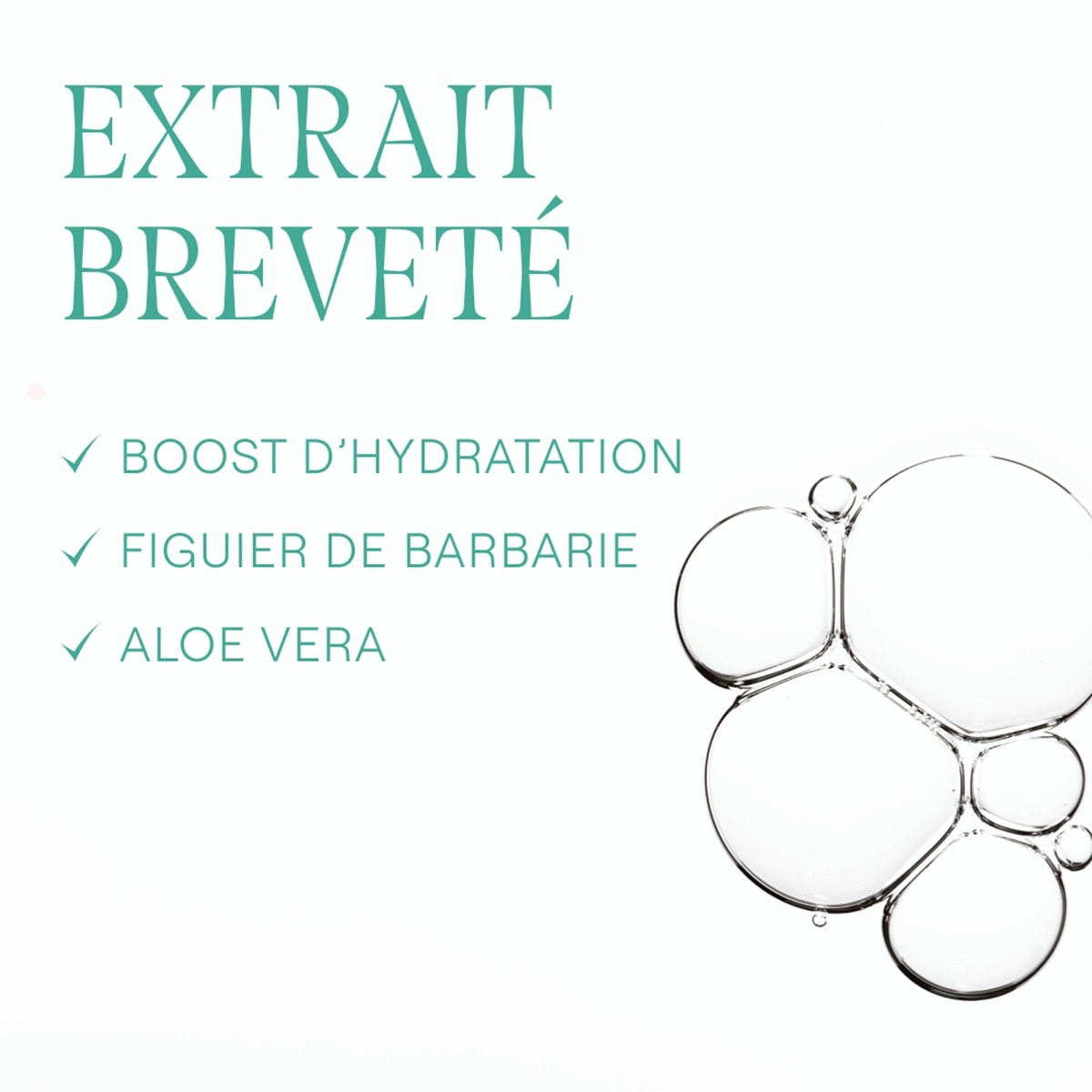 WELEDA - Crème hydratante 48h Hydra+  - 30 ml