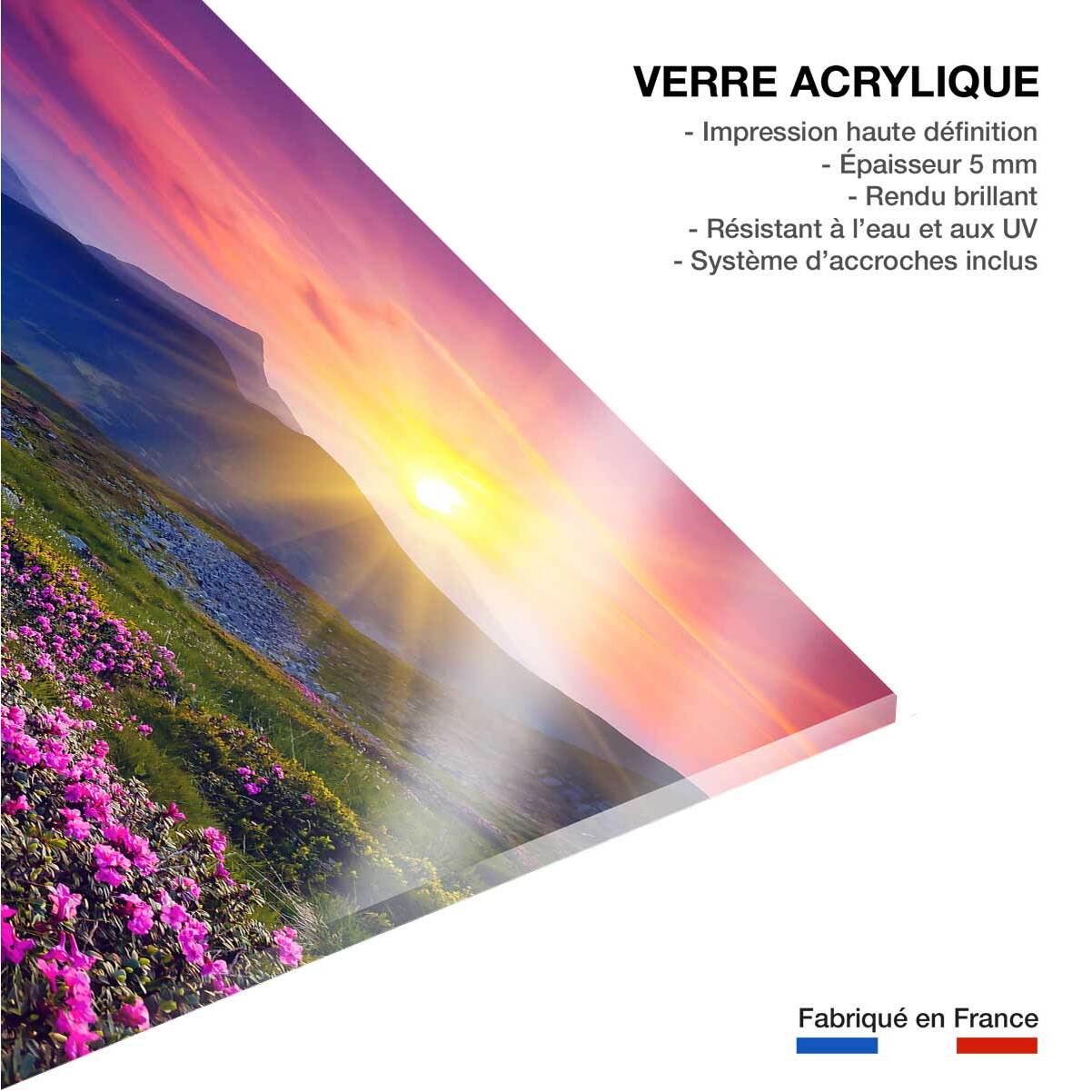 Tableau champ de fleurs Tableau plexiglas