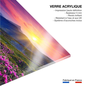 Tableau champ de fleurs Tableau plexiglas