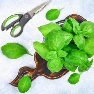 Ensemble de 2 Ciseaux de cuisine Nirosta Praktika