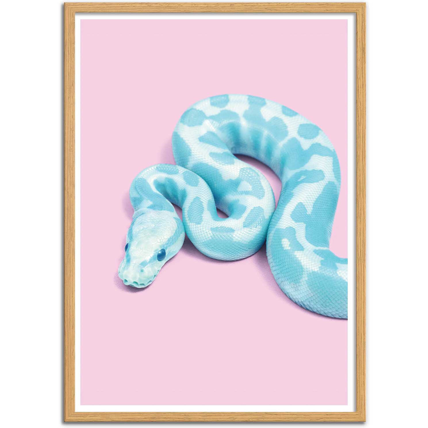 Affiche - Blue Snake - Paul Fuentes