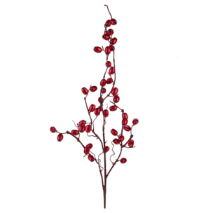 Ramo - Pezzi 12 - 21xH89x20cm - Bianchi Dino SpA