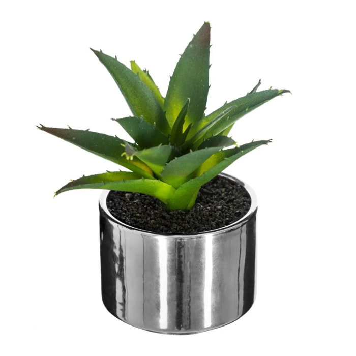 Plante verte pot céramique H.15