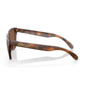 Oakley Gafas de sol deportivas OO9013 Frogskins