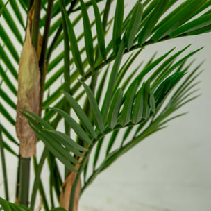 Pianta artificiale Vacchetti in plastica Kenzia cm h150