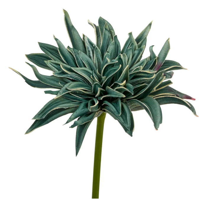 Tige décorative Homy H.55cm