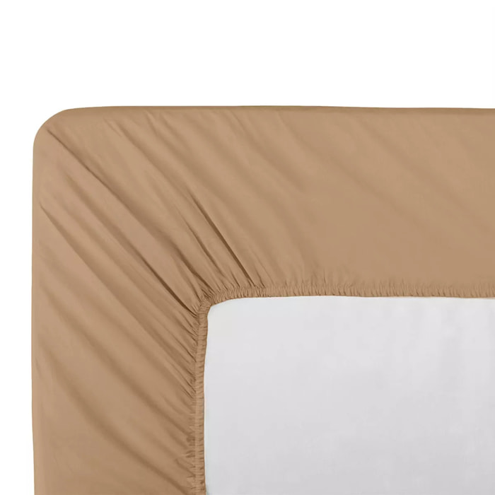 Drap housse b40 percale de coton uni marron La percale caramel