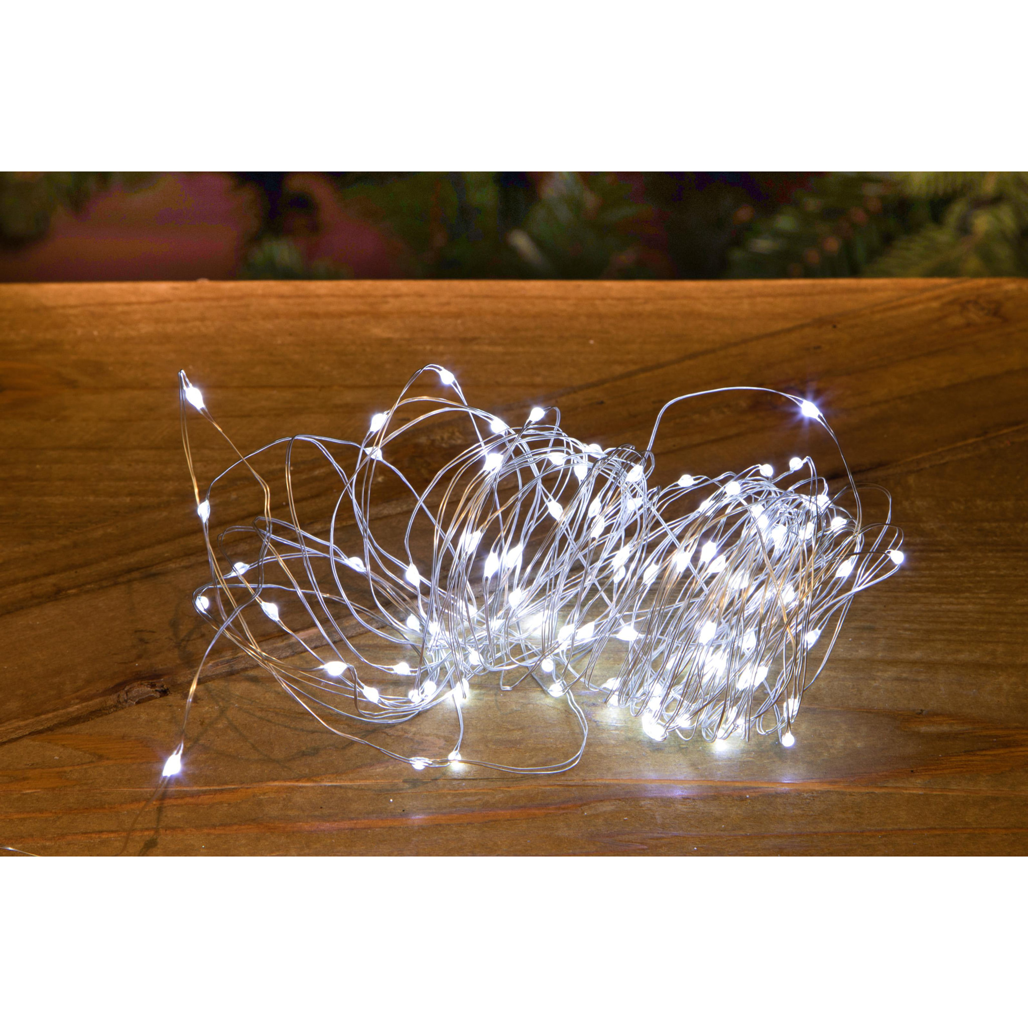 Miniled led uso int. - Pezzi 12 - COLD LED - Bianchi Dino SpA