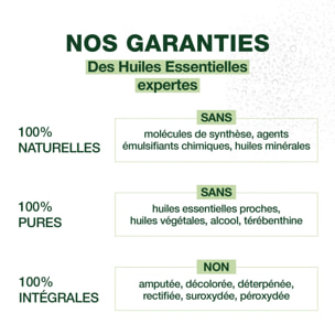 Pranarom - Spray nasal DM - Décongestionnant - Bio - 15 ml