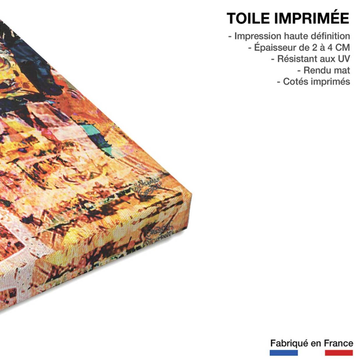 Tableau wolverine street Toile imprimée