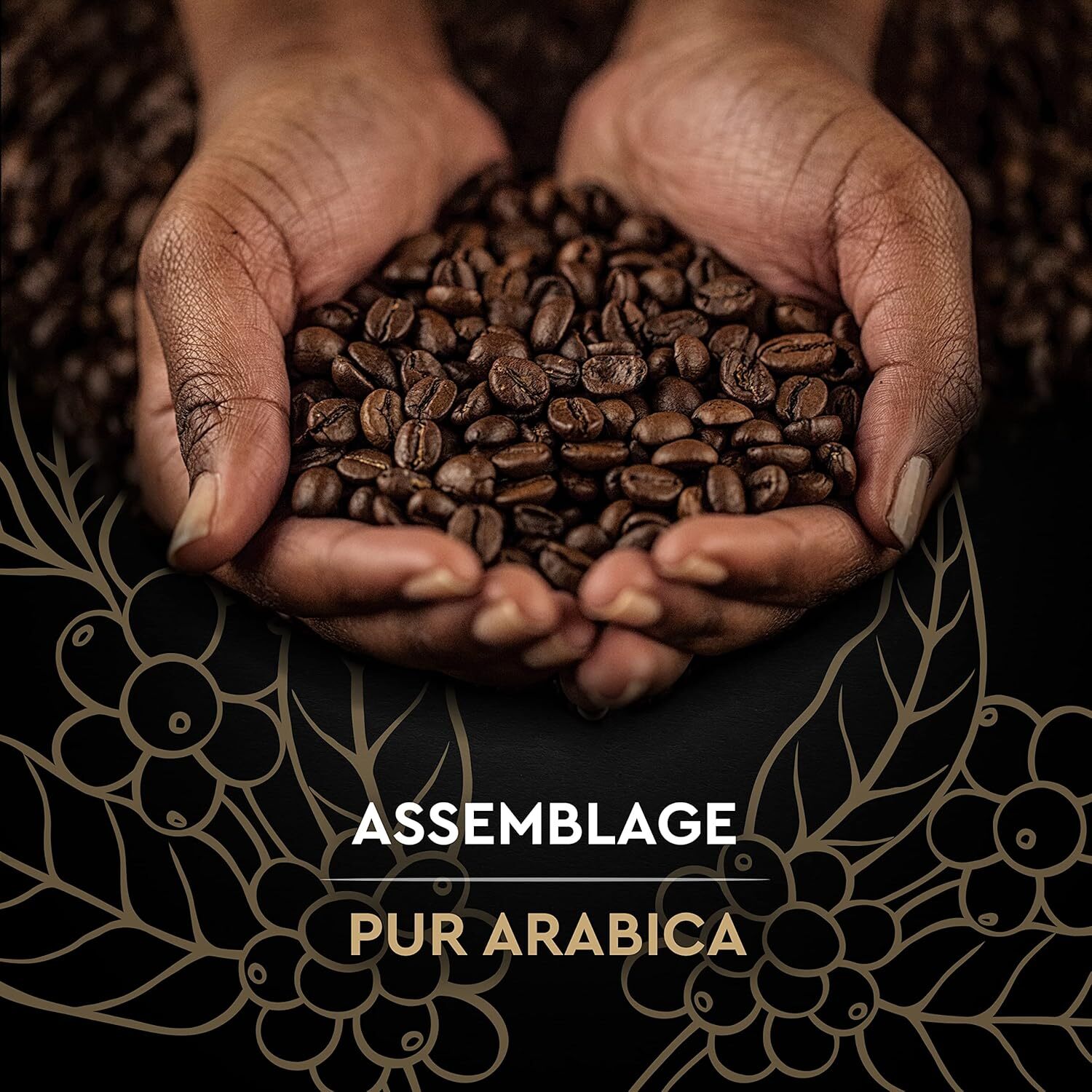 CARTE NOIRE - Grains Classique  - 100 % Arabica - Certifié Rainforest Alliance - 1 kg