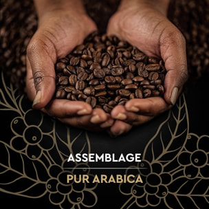 CARTE NOIRE - Grains Classique  - 100 % Arabica - Certifié Rainforest Alliance - 1 kg