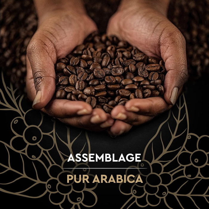 CARTE NOIRE - Grains Classique  - 100 % Arabica - Certifié Rainforest Alliance - 1 kg