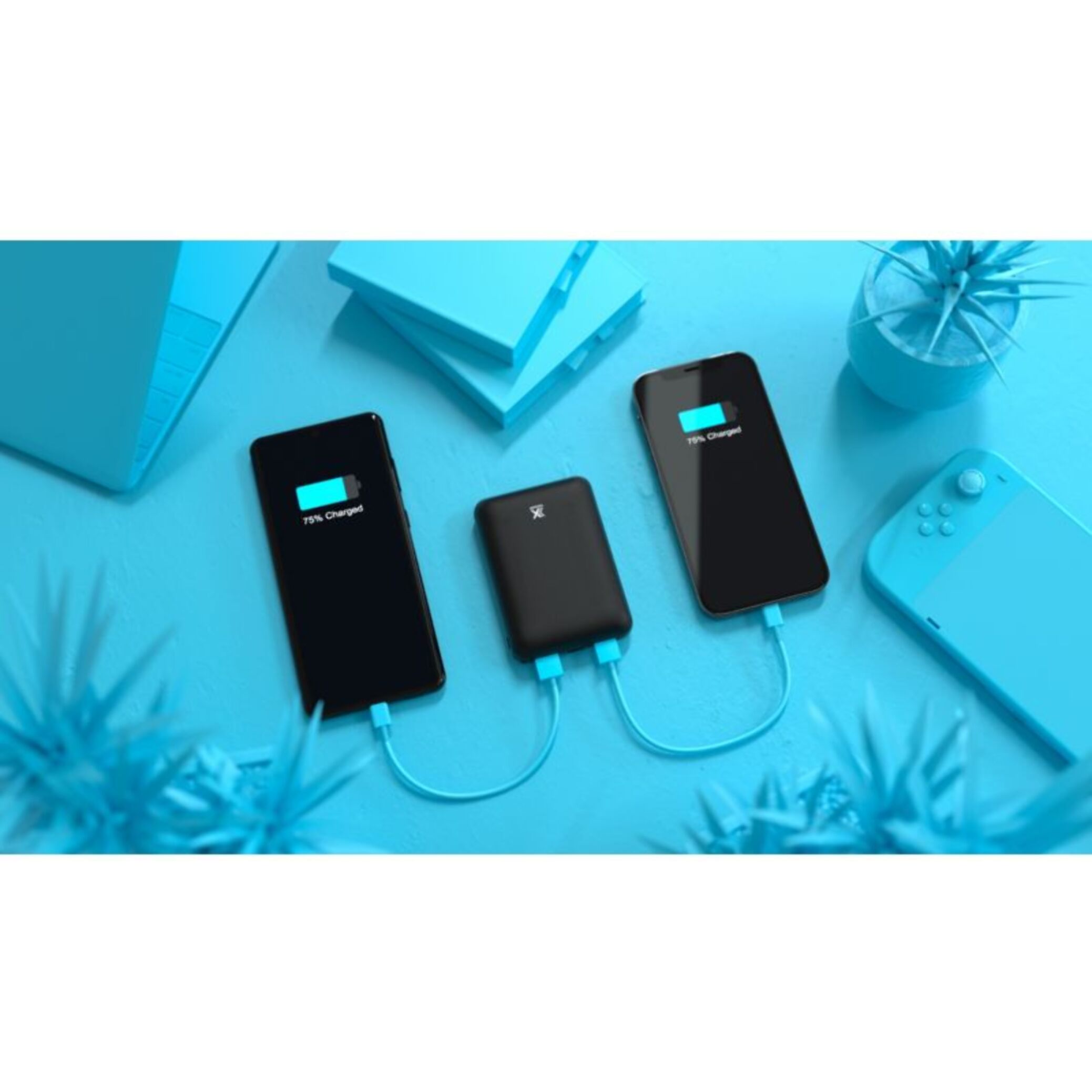 Batterie externe XMOOVE 10000mAh USB 2A