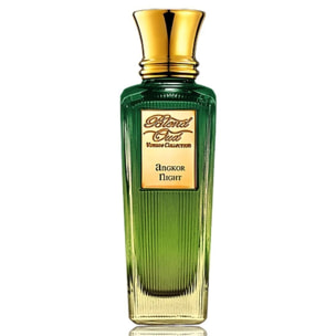 Blend Oud Voyage Collection Memories Angkor Night Eau de Parfum Unisex 75 ML