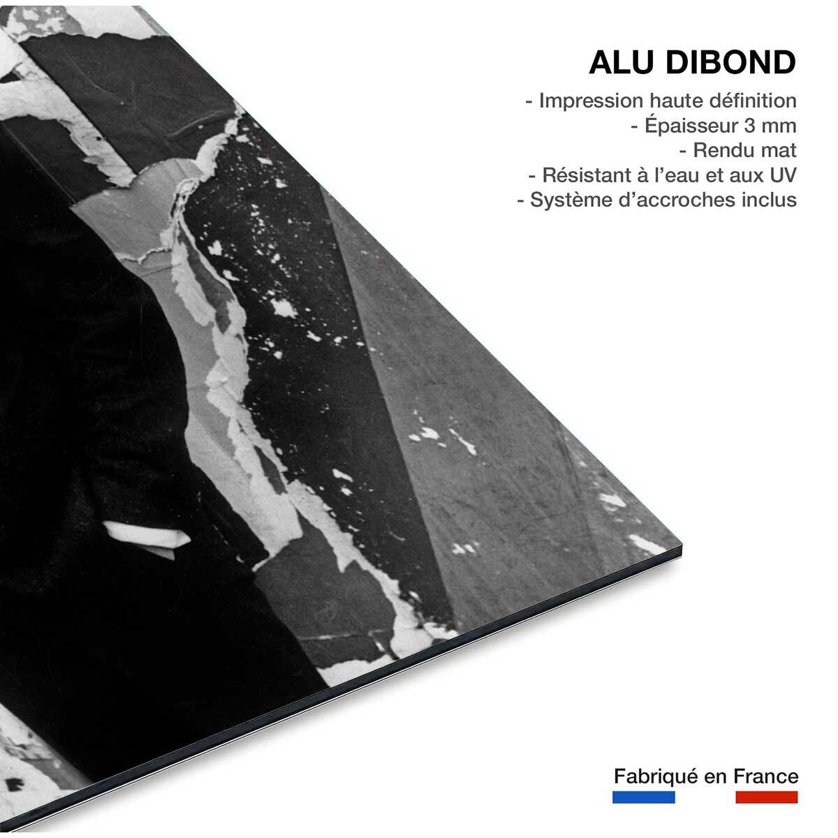 Tableau chanteur eddy mitchell en 1964  Tableau alu Dibond