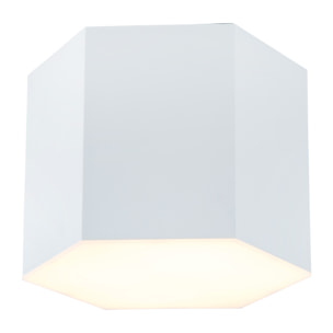 LEDS C4 Plafon Six 220Mm Led 13W 3000K Blanco