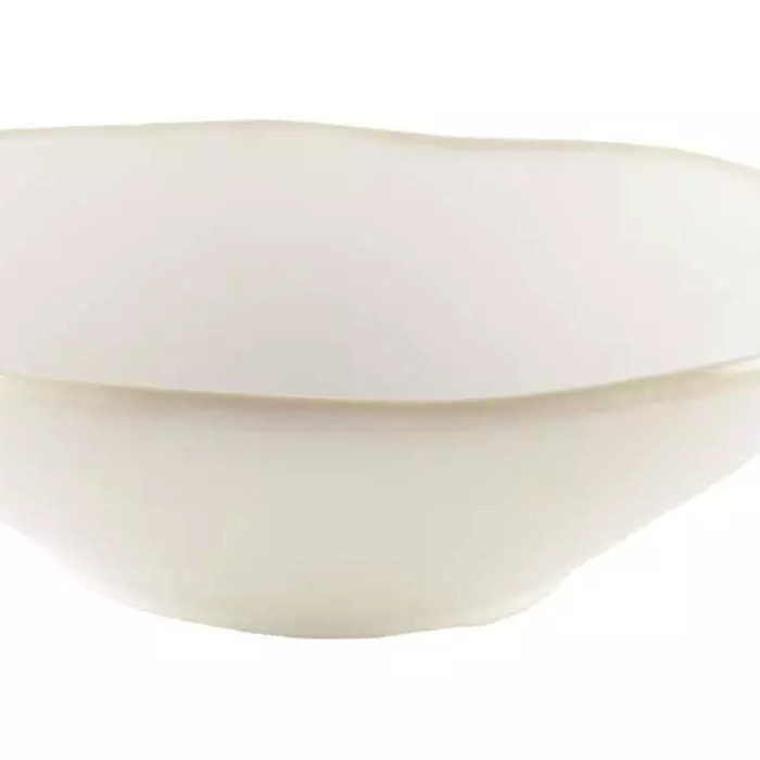 Lot de 6 ASSIETTE CREUSE BLANCHE ROSA 21X21X6.3CM