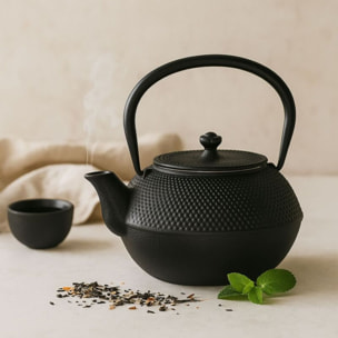 Théière NOVASTYL Osaka 1.2 Litres Fonte