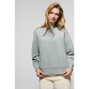 Sudadera básica de cuello redondo color grisáceo Minimal Polo Club