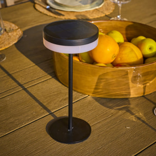 Lampe de table solaire VIVIA MINI H27CM