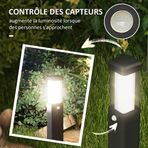 Lot de 2 lampes d'extérieur - bornes lumineuses LED - norme IP65 - alu noir