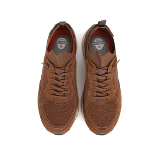 Zapatillas Tui Man Camel
