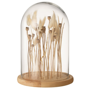 J-Line Cloche En Verre Sur Fleurs Sechées Ecru/Brun Verre Bois Small