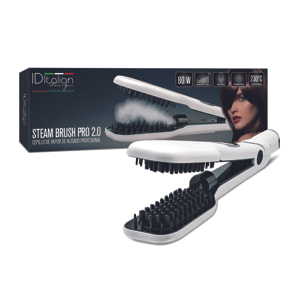 steam brush