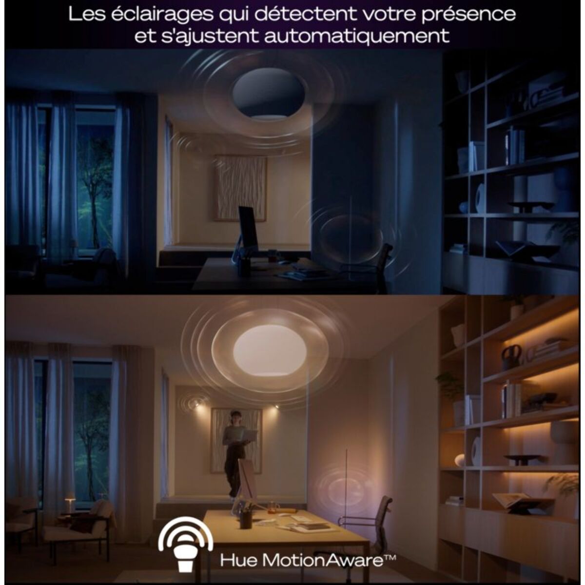 Boîtier de synchronisation PHILIPS HUE Bridge Pro