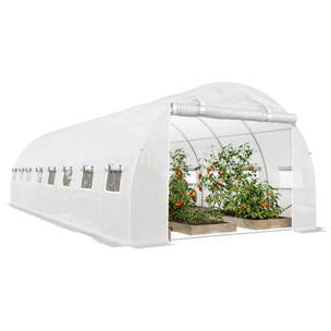Serre tunnel 24m² dim. 8L x 3l x 2H m - 16 fenêtres, porte zippée - acier galvanisé PE haute densité blanc