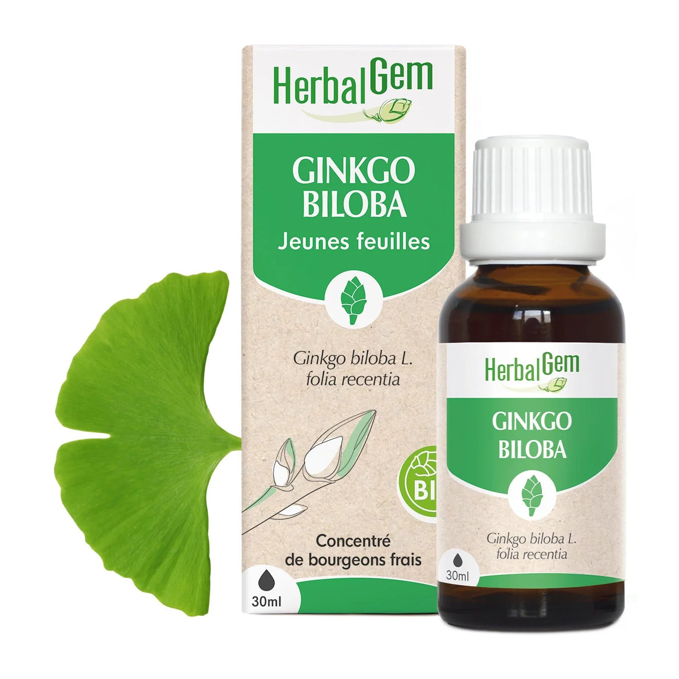 Herbalgem- Bourgeon de Ginkgo Biloba - Bio - 30 ml