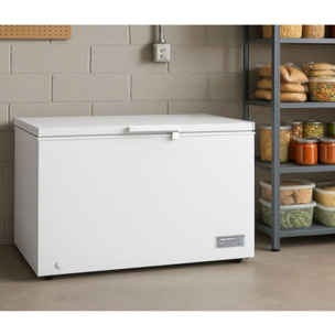 Congélateur coffre ESSENTIELB ECC85-130hob3 -E