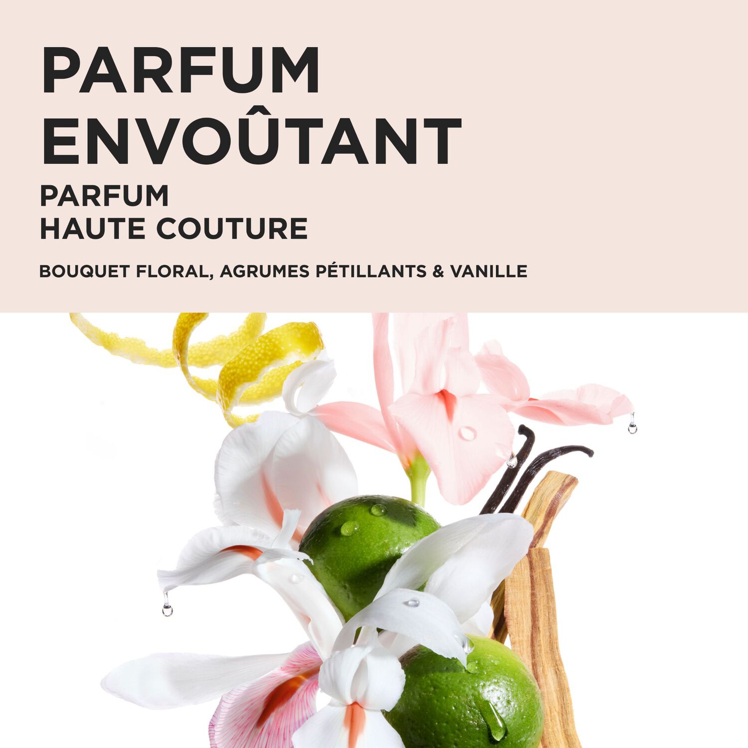 Gloss Absolu - Coffret Shampoing Bain Hydra-Glaze 80ml + 2 Produits