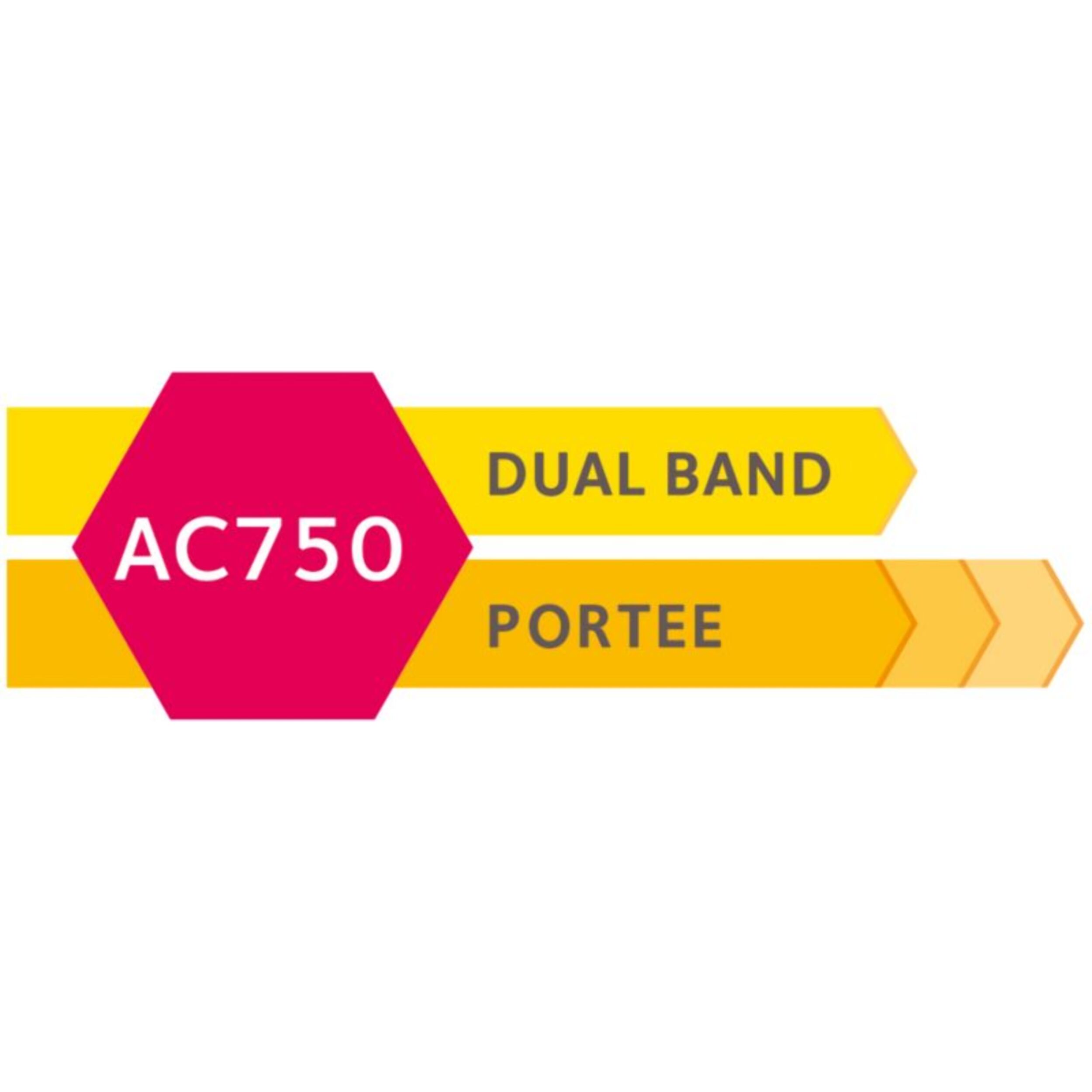 Répéteur Wifi NETGEAR EX3800 WIFI AC750 Dual Band avec prise