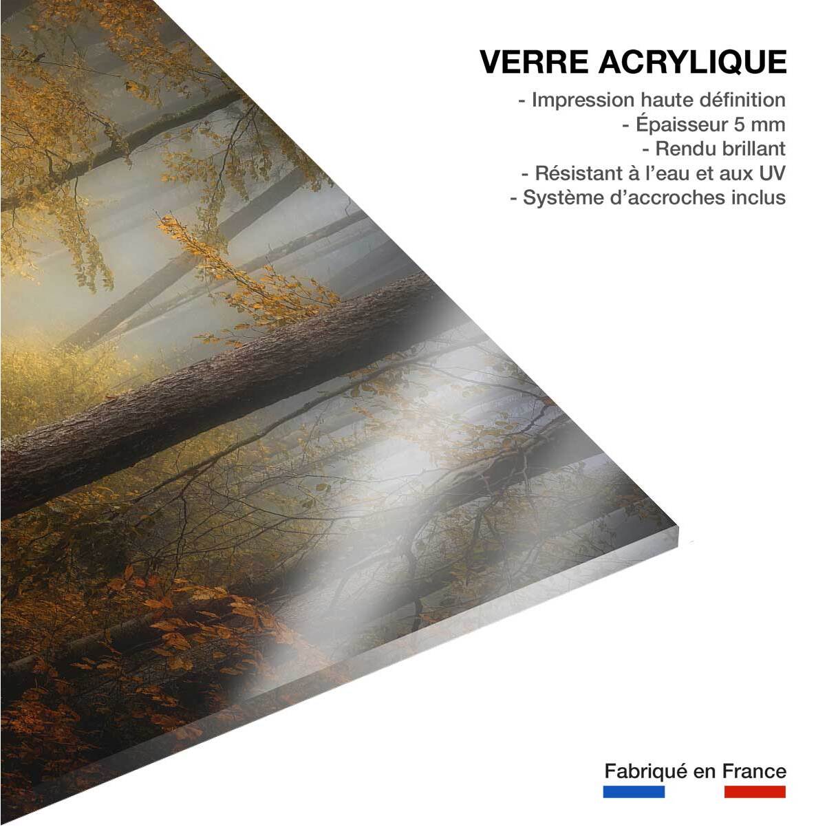 Tableau Automne rouge Tableau plexiglas
