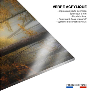 Tableau Automne rouge Tableau plexiglas