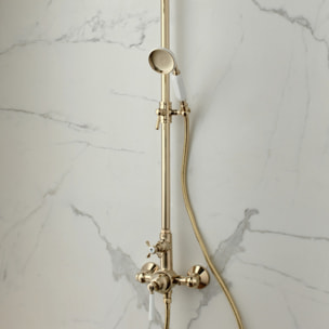 Pommeau de douche JACOB DELAFON Cléo 1889 + flexible