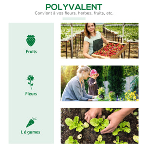 Mini serre de jardin serre à tomates 120 x 60 x 60 cm 2 fenêtres zippées enroulables acier thermolaqué PE haute densité vert