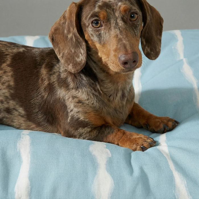Lit pour animaux antitaches Vera