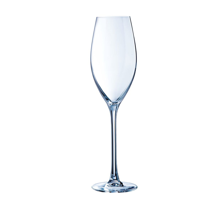 6 copas de champán 24 cl Séquence - Chef&Sommelier