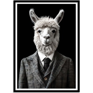 Affiche - Alpaca Wild Suits - Philippe Hugonnard