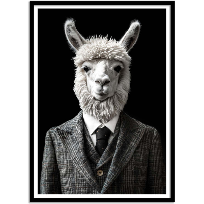 Affiche - Alpaca Wild Suits - Philippe Hugonnard