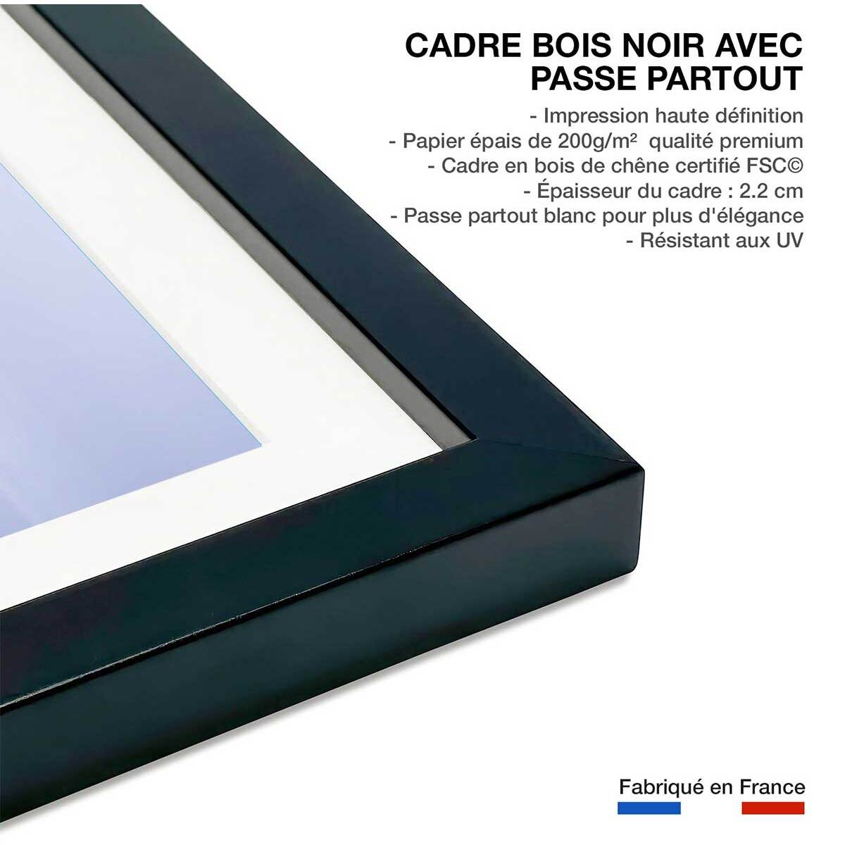 Affiche la marche de l'Ours Affiche sous cadre noir