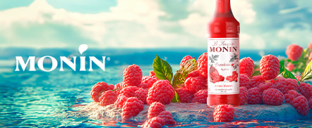 Sirop Monin Sirops, concentrés et accessoires