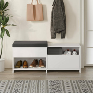 Scarpiera Nuri, Mobile portascarpe, Armadio da ingresso multiuso, Mobiletto per calzature, 120x41 h51 cm, Bianco