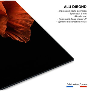 Tableau coquelicot enlacés  Tableau alu Dibond