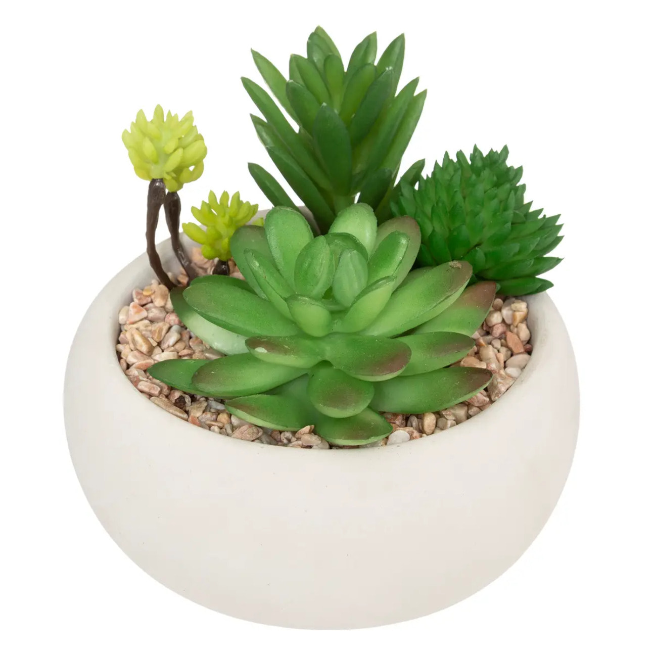 Plante grasse artificielle - pot en ciment - H10 cm